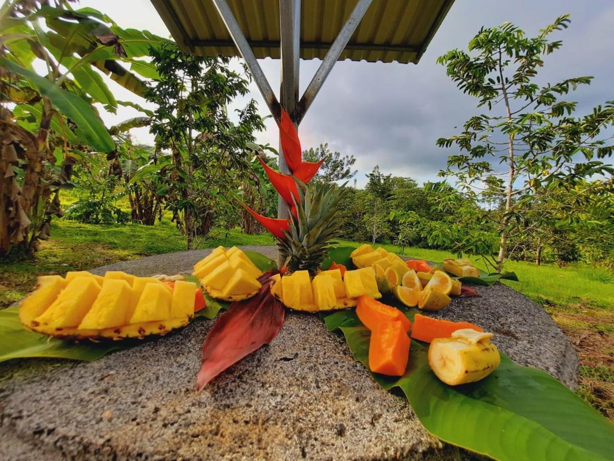 Cabanas Montanas Del Tenorio Rio Celeste المظهر الخارجي الصورة
