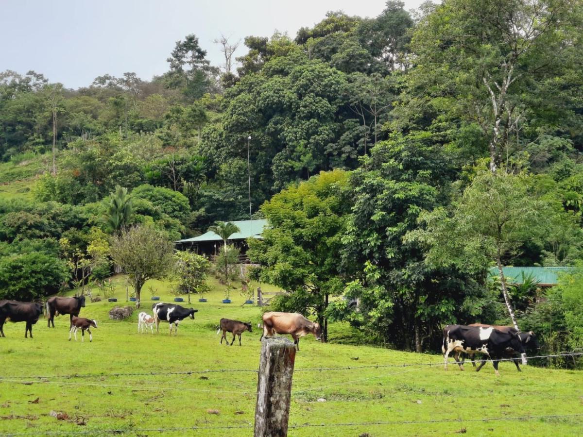 Cabanas Montanas Del Tenorio Rio Celeste المظهر الخارجي الصورة
