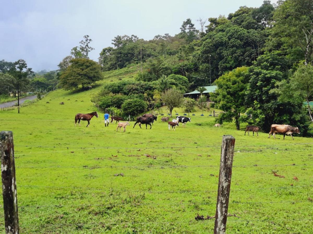 Cabanas Montanas Del Tenorio Rio Celeste المظهر الخارجي الصورة