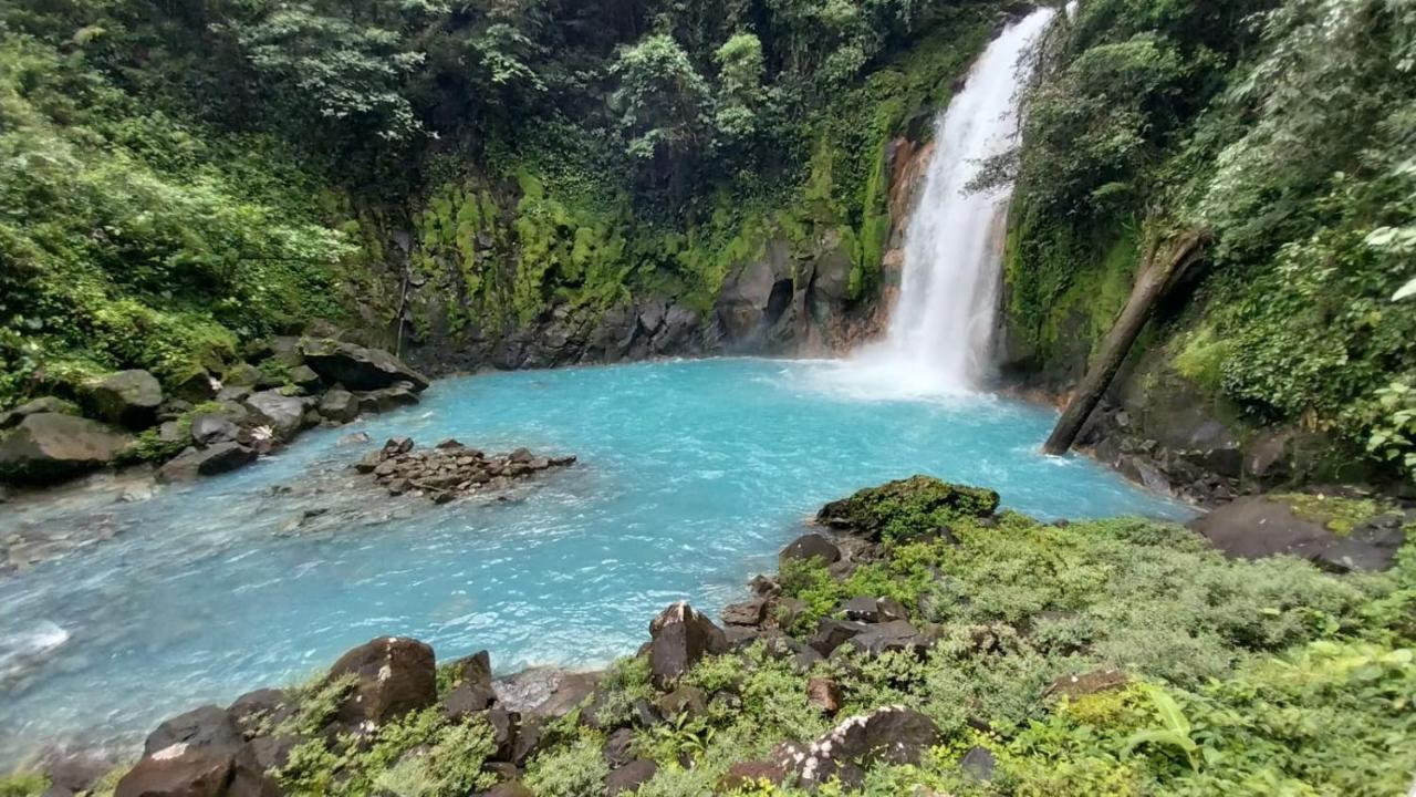 Cabanas Montanas Del Tenorio Rio Celeste المظهر الخارجي الصورة